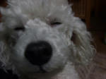 2008_0216ko-to0018.JPG