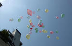 2008_0426_0035.JPG