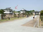 2008_0430oosakajyo-1.JPG