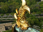 2008_0430oosakajyo-4.JPG