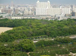 2008_0430oosakajyo-5.JPG