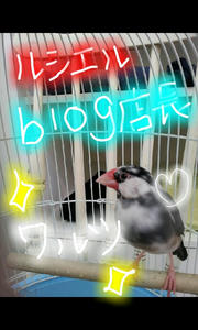 picsay-1334307825.jpg
