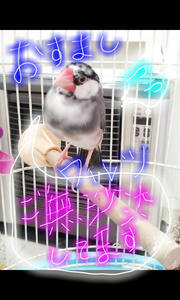 picsay-1337829158.jpg