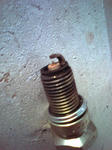 D1010014.JPG