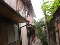 SANY0270.jpg