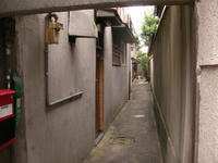 SANY0286.jpg
