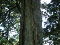 SANY0011.jpg