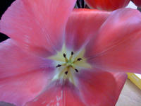 IMG_0631.jpg