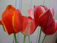 IMG_0630.jpg