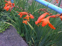 IMG_0004.jpg