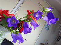 IMG_0849.jpg