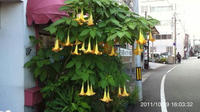 IMG_1493.jpg