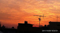 IMG_1484.jpg