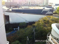 IMG_1579.jpg