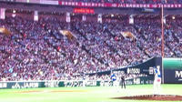 IMG_1612.jpg