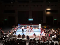 IMG_1590.jpg