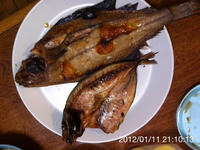 IMG_1952.jpg