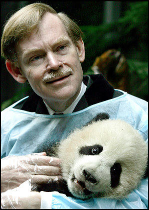 Robert Zoellick