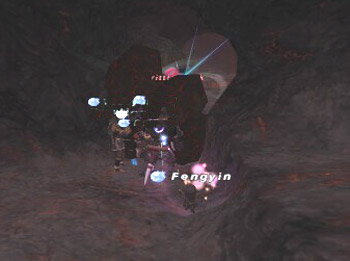 Fen308.jpg