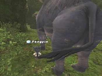 Fen648.jpg
