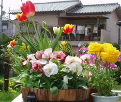 flowers080412.jpg