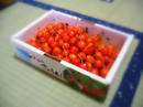 P1030150-3.jpg