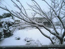 KC270038-1.jpg