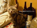 P1000249-1a.jpg