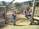 P1000344-1a.jpg