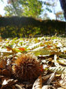 P1000355-1a.jpg