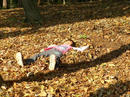 P1000410-1a.jpg