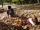 P1000418-1a.jpg