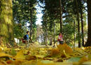 P1000428-1a.jpg