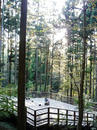 P1000445-1.jpg