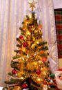 P1000521-1a.jpg