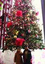 P1000528-1a.jpg