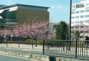 P1000937-1a.jpg