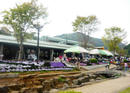 P1020316-1a.jpg