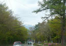 P1020320-1a.jpg