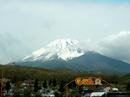 P1020325-1a.jpg