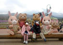 P1020412-2a.jpg
