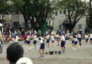 P1020851-1a.jpg