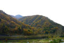 P1030053-1a.jpg