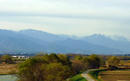 P1030088-1a.jpg