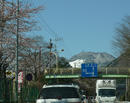 P1030732-1a.JPG