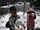 P1030766-1a.jpg