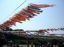 P1040077-1a.jpg