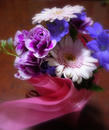 P1040155-1a.jpg