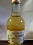 20100328_1448233.jpg