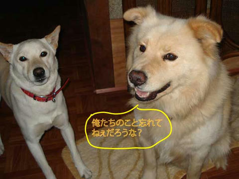 サイとリキ